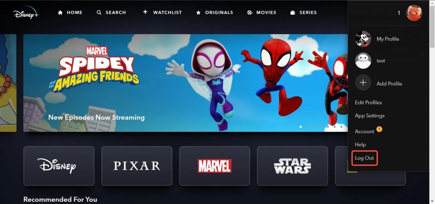 Log Out Disney Plus