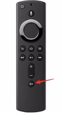 Check the Mute Button