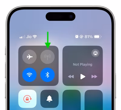 Iphone Cellular Data