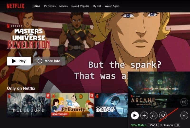 How Does This Rating Relate to Netflix?