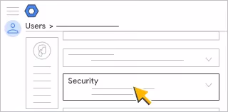 Temporarily Adjust Security Settings
