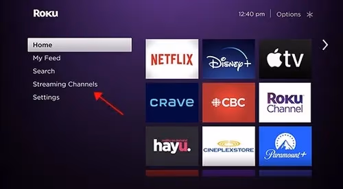 Roku Streaming Channels